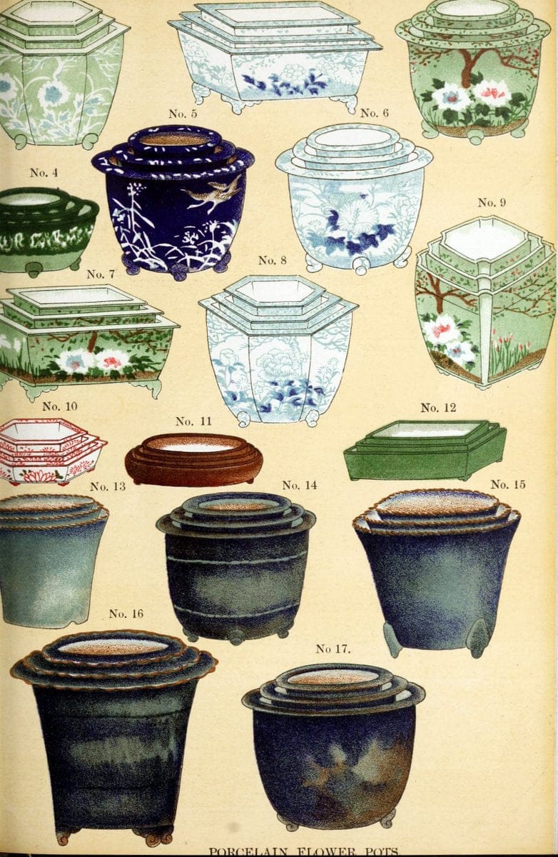 Descriptive catalogue of flowering, ornamental trees, shrubs, bulbs, herbs, climbers, fr | Catalogs Japan "Nurseries (Horticulture)" Yokohama-shi  | Vintage Print Reproduction 468623