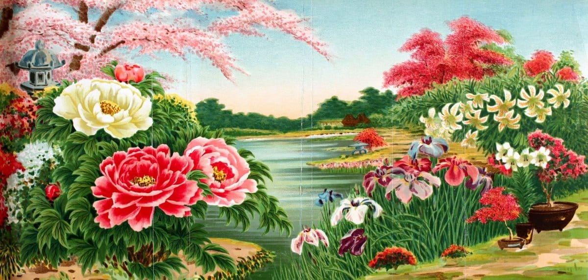 Descriptive catalogue of flowering, ornamental trees, shrubs, bulbs, herbs, climbers | Catalogs "Fruit trees" Hedges Japan "Nurseries (Horticulture)" "Nursery stock"  | Vintage Reproduction 468627