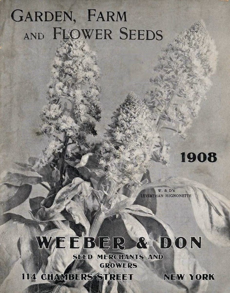 Descriptive catalogue of vegetable, flower, and farm seeds  | "Bedding plants" "Bulbs (Plants)" Catalogs Gardening "New York"  "Nurseries (Horticulture)" "Nursery stock"  | Vintage Reproduction 468663