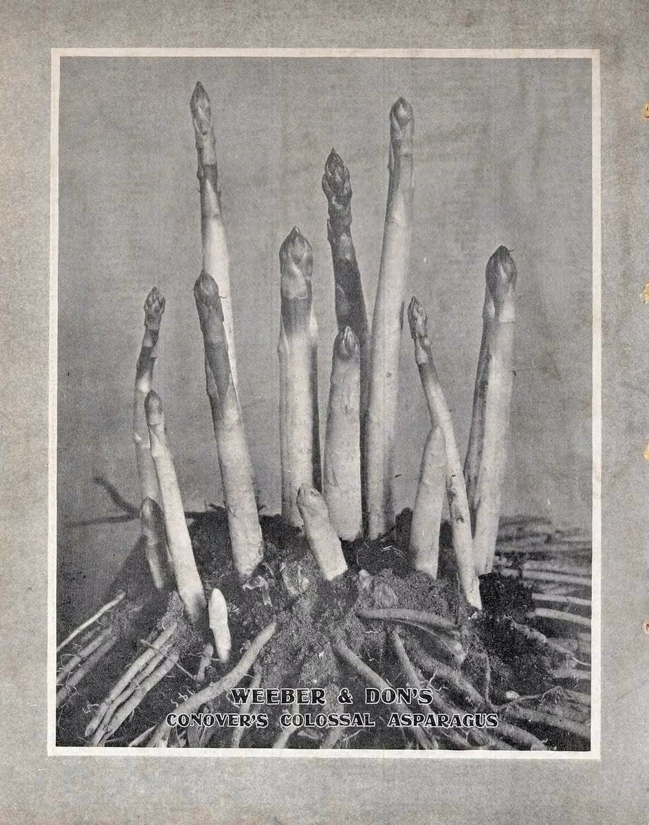 Descriptive catalogue of vegetable, flower, and farm seeds /.New York :Weeber & Don. | Vintage Print Reproduction 468664