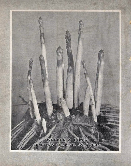 Descriptive catalogue of vegetable, flower, and farm seeds /.New York :Weeber & Don. | Vintage Print Reproduction 468664