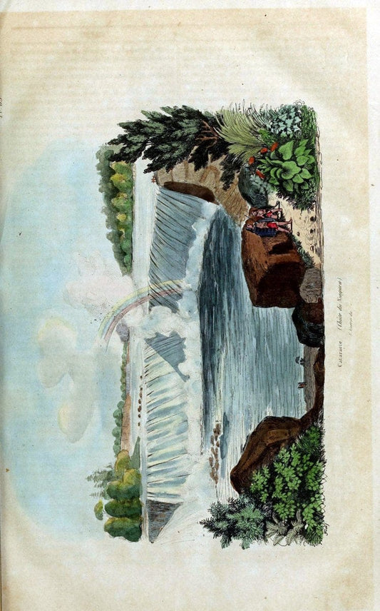 Dictionnaire pittoresque d'histoire naturelle et des phÃ©nomÃ¨nes de la nature /.Paris1833-[1840].. |  | Vintage Print Reproduction 469938