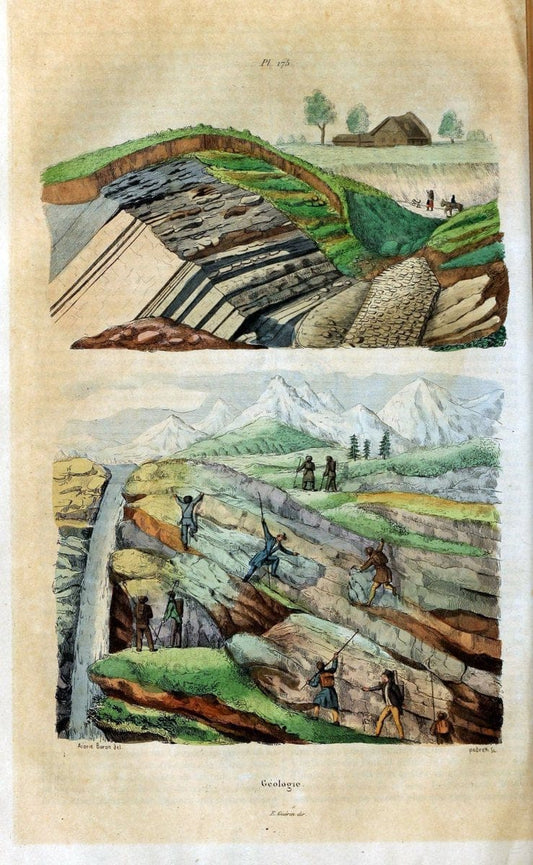 Dictionnaire pittoresque d'histoire naturelle et des phÃ©nomÃ¨nes de la nature /.Paris1833-[1840].. |  | Vintage Print Reproduction 469939