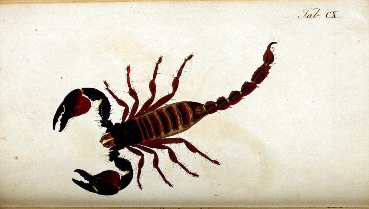 Dragable Image