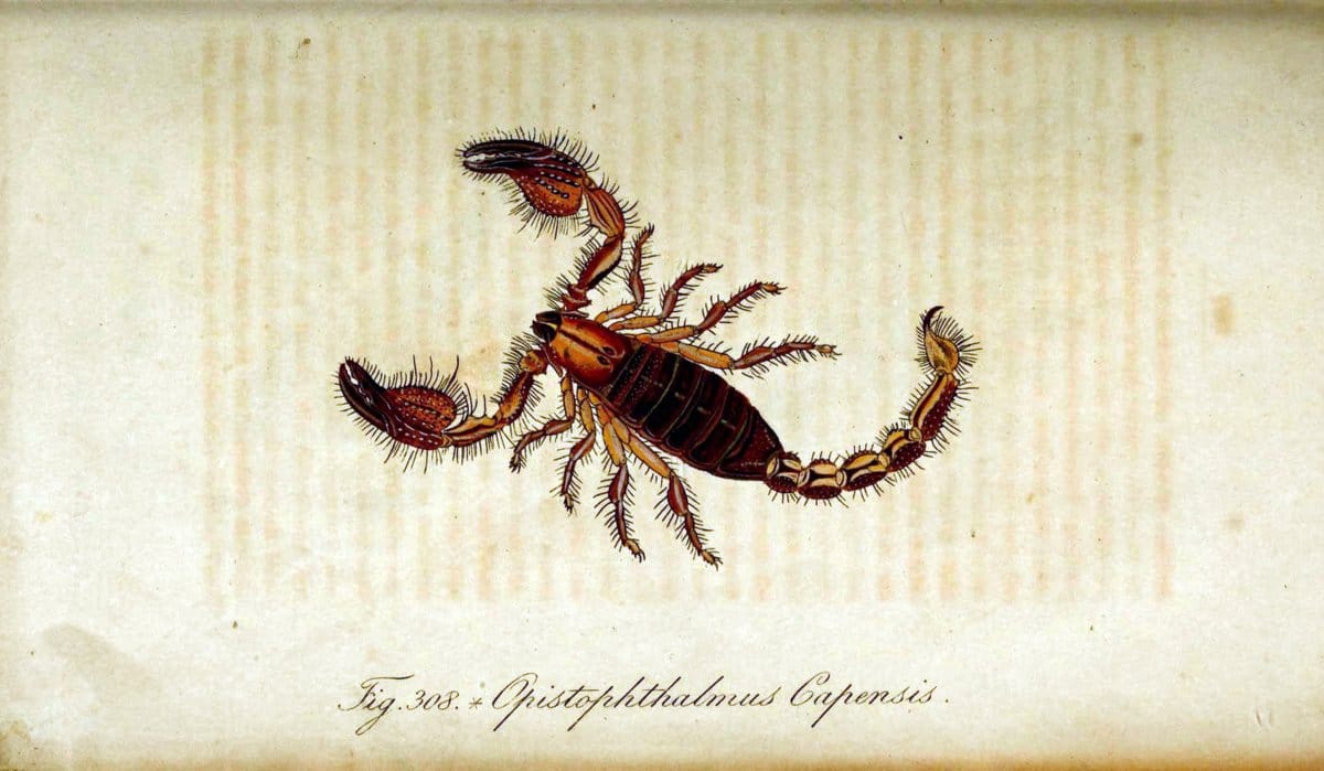 Dragable Image