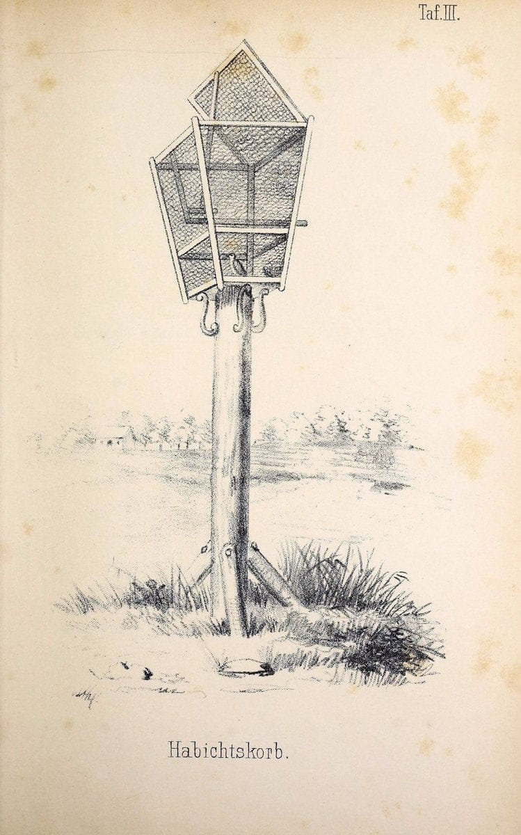 Die RaubvoÌˆgel Deutschlands und des angrenzenden Mitteleuropas;.Cassel [Germany]Verlag v | "Birds of prey" "Europe, Eastern" Falconry Germany  | Vintage Print Reproduction 472410