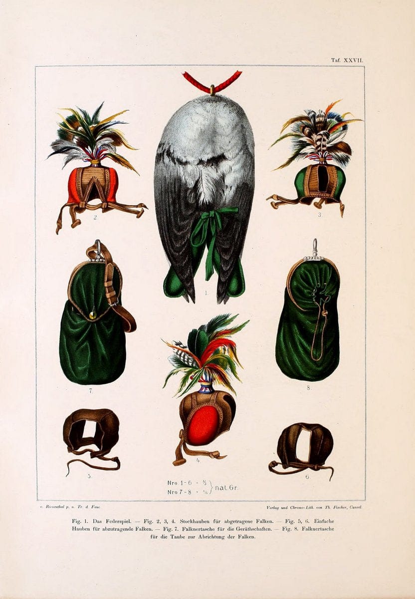 Die RaubvoÌˆgel Deutschlands und des angrenzenden Mitteleuropas;.Cassel [Germany]Verlag v | "Birds of prey" "Europe, Eastern" Falconry Germany  | Vintage Print Reproduction 472415