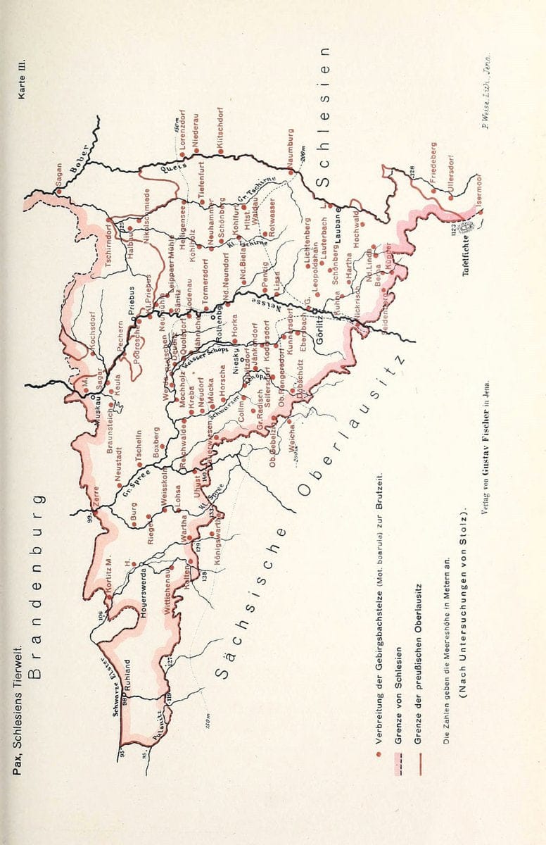 Die Tierwelt Schlesiens /.Jena :G. Fischer,1921.  | Germany Silesia Zoology  | Vintage Print Reproduction 473534