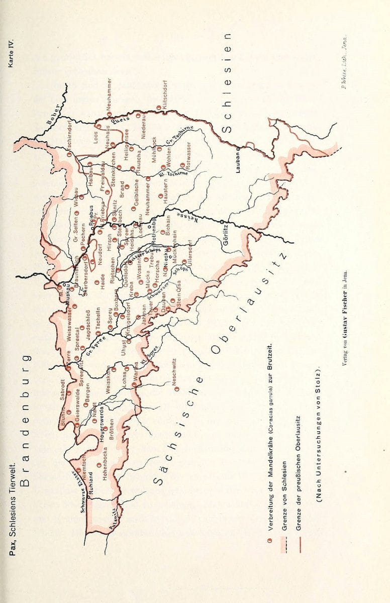 Die Tierwelt Schlesiens /.Jena :G. Fischer,1921.  | Germany Silesia Zoology  | Vintage Print Reproduction 473535