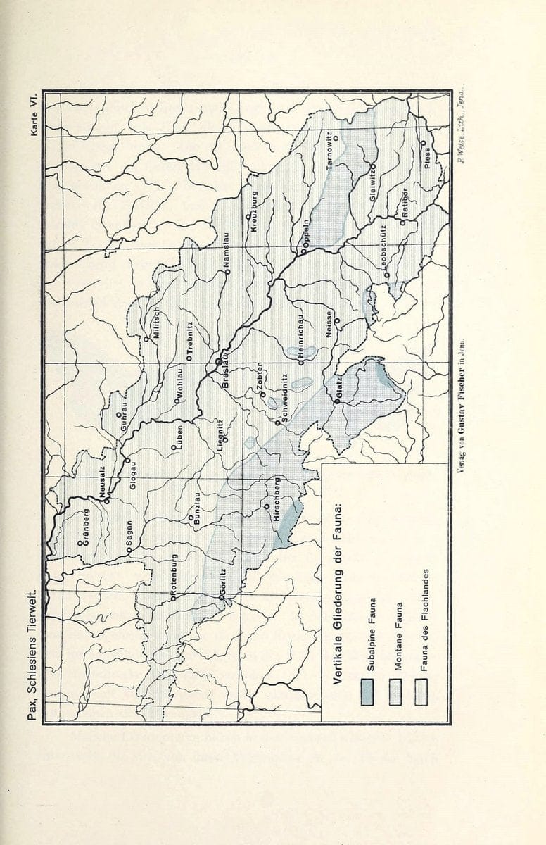 Die Tierwelt Schlesiens /.Jena :G. Fischer,1921.  | Germany Silesia Zoology  | Vintage Print Reproduction 473536