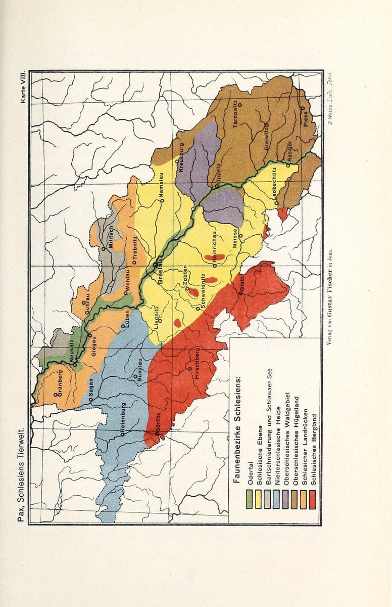 Die Tierwelt Schlesiens /.Jena :G. Fischer,1921.  | Germany Silesia Zoology  | Vintage Print Reproduction 473537