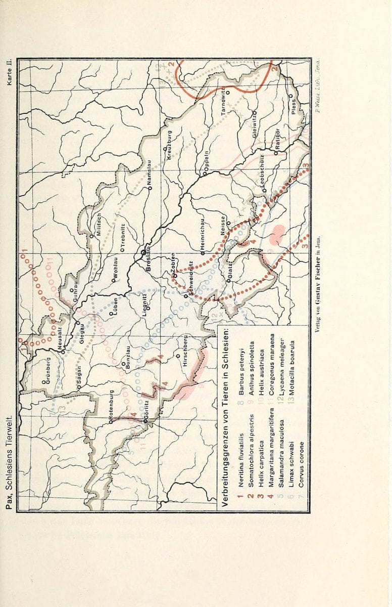 Die Tierwelt Schlesiens /.Jena :G. Fischer,1921.  | Germany Silesia Zoology  | Vintage Print Reproduction 473538