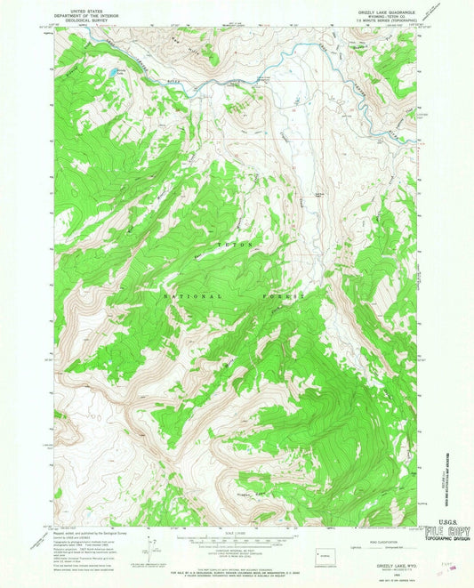 1965 Grizzly Lake, WY - Wyoming - USGS Topographic Map