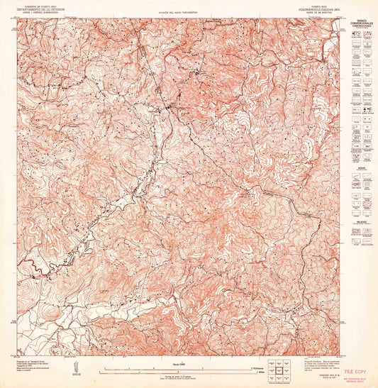 1947 Caguas SO, PR - Puerto Rico - USGS Topographic Map