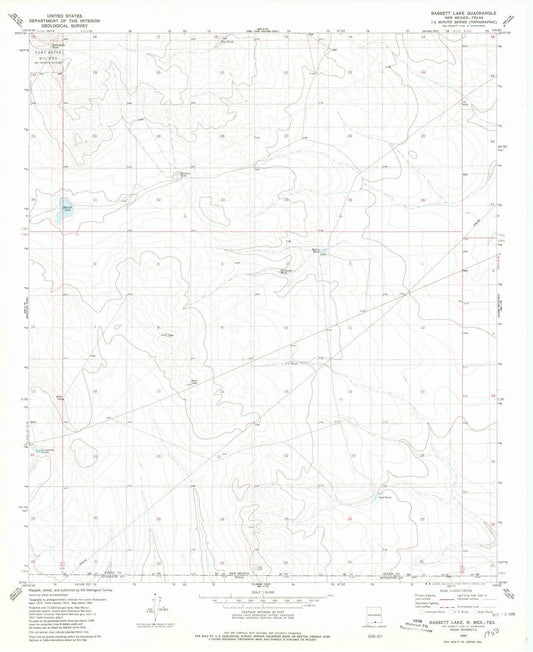1980 Bassett Lake, NM - New Mexico - USGS Topographic Map