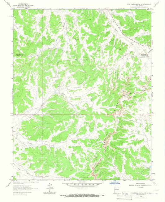 1963 Five Lakes Canyon, NM - New Mexico - USGS Topographic Map