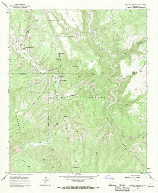 1965 Gila Hot Springs, NM - New Mexico - USGS Topographic Map