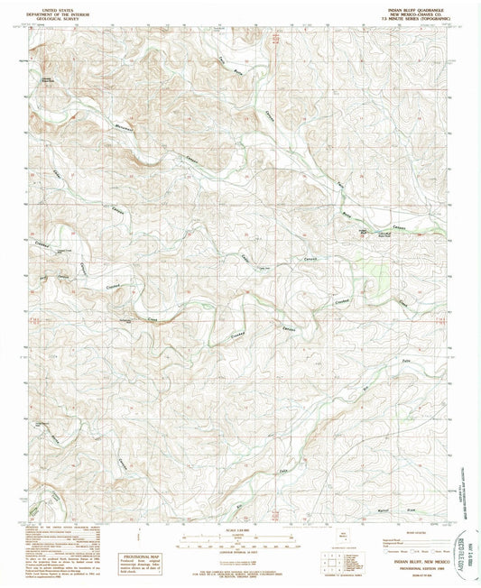 1989 Indian Bluff, NM - New Mexico - USGS Topographic Map