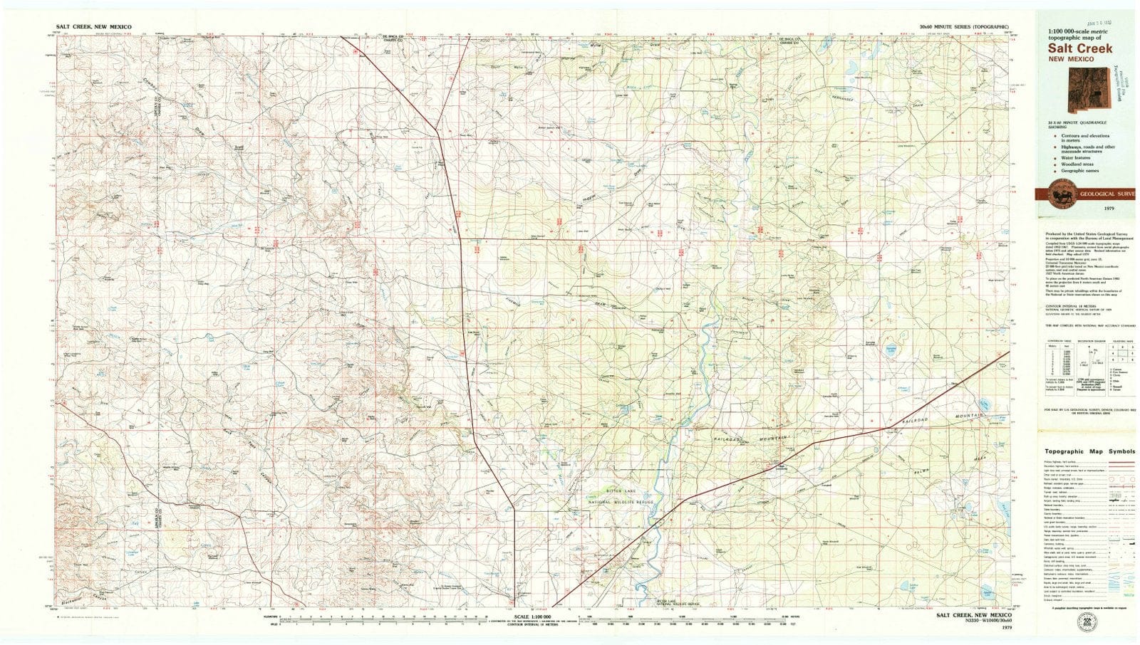 1979 Salt Creek, NM - New Mexico - USGS Topographic Map