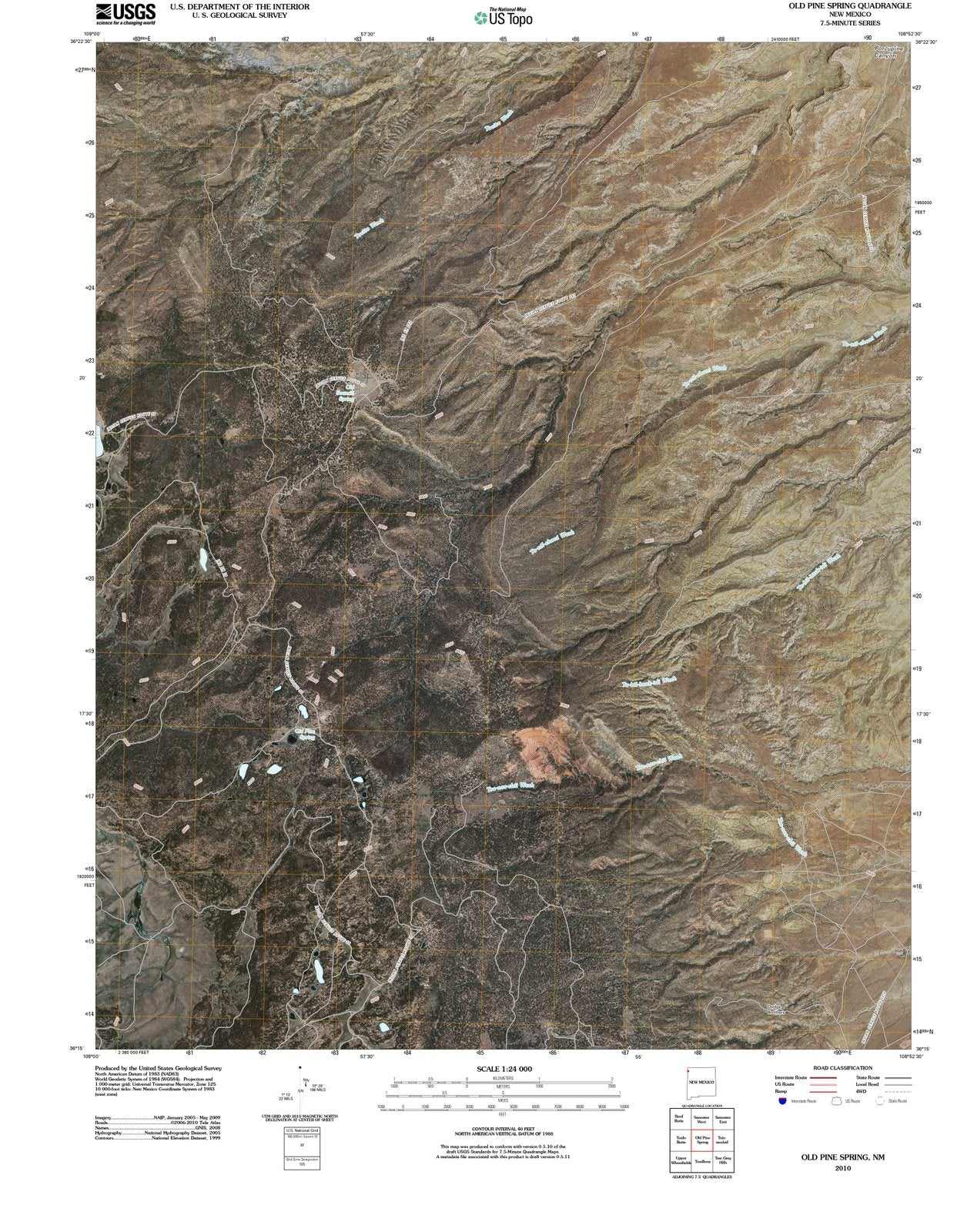 2010 Old Pine Spring, NM - New Mexico - USGS Topographic Map