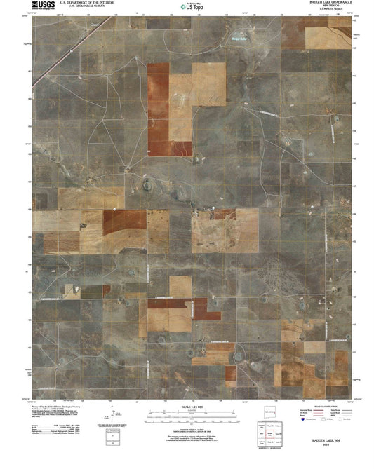 2010 Badger Lake, NM - New Mexico - USGS Topographic Map