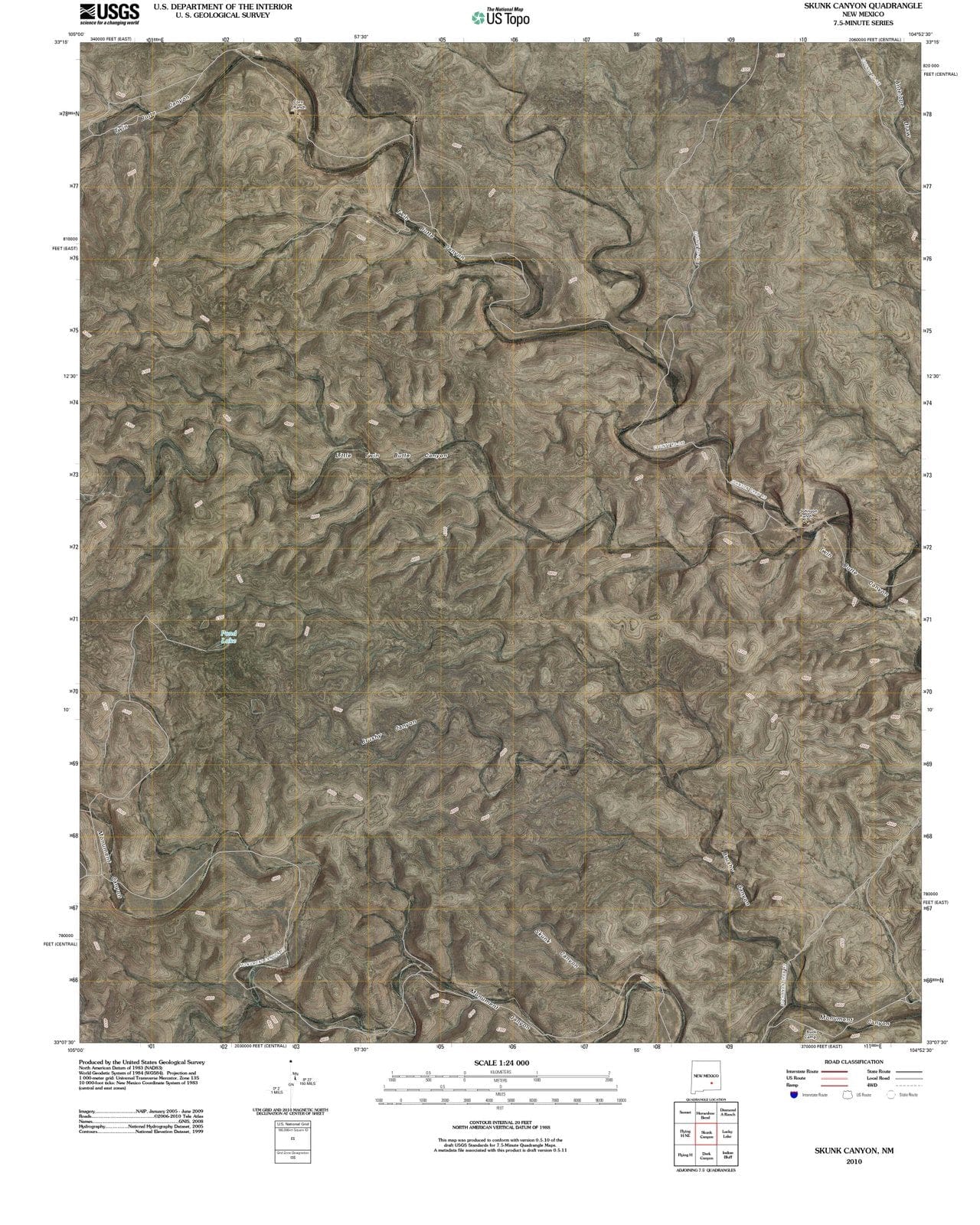 2010 Skunk Canyon, NM - New Mexico - USGS Topographic Map