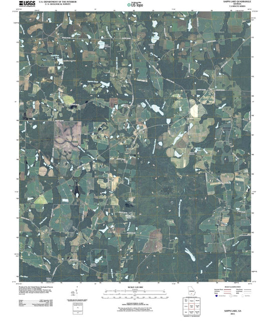 2011 Sapps Lake, GA - Georgia - USGS Topographic Map