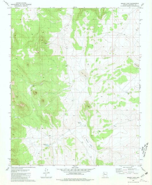 1981 Bishop Lake, AZ - Arizona - USGS Topographic Map