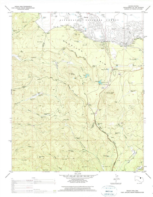 1976 Indian Pine, AZ - Arizona - USGS Topographic Map