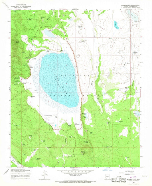 1965 Mormon Lake, AZ - Arizona - USGS Topographic Map