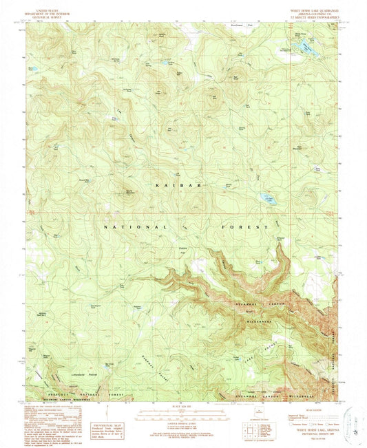 1989 White Horse Lake, AZ - Arizona - USGS Topographic Map