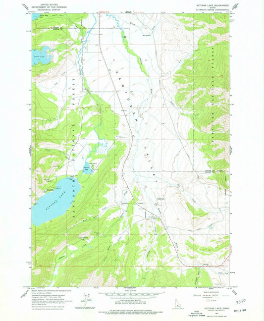 1963 Alturas Lake, ID - Idaho - USGS Topographic Map