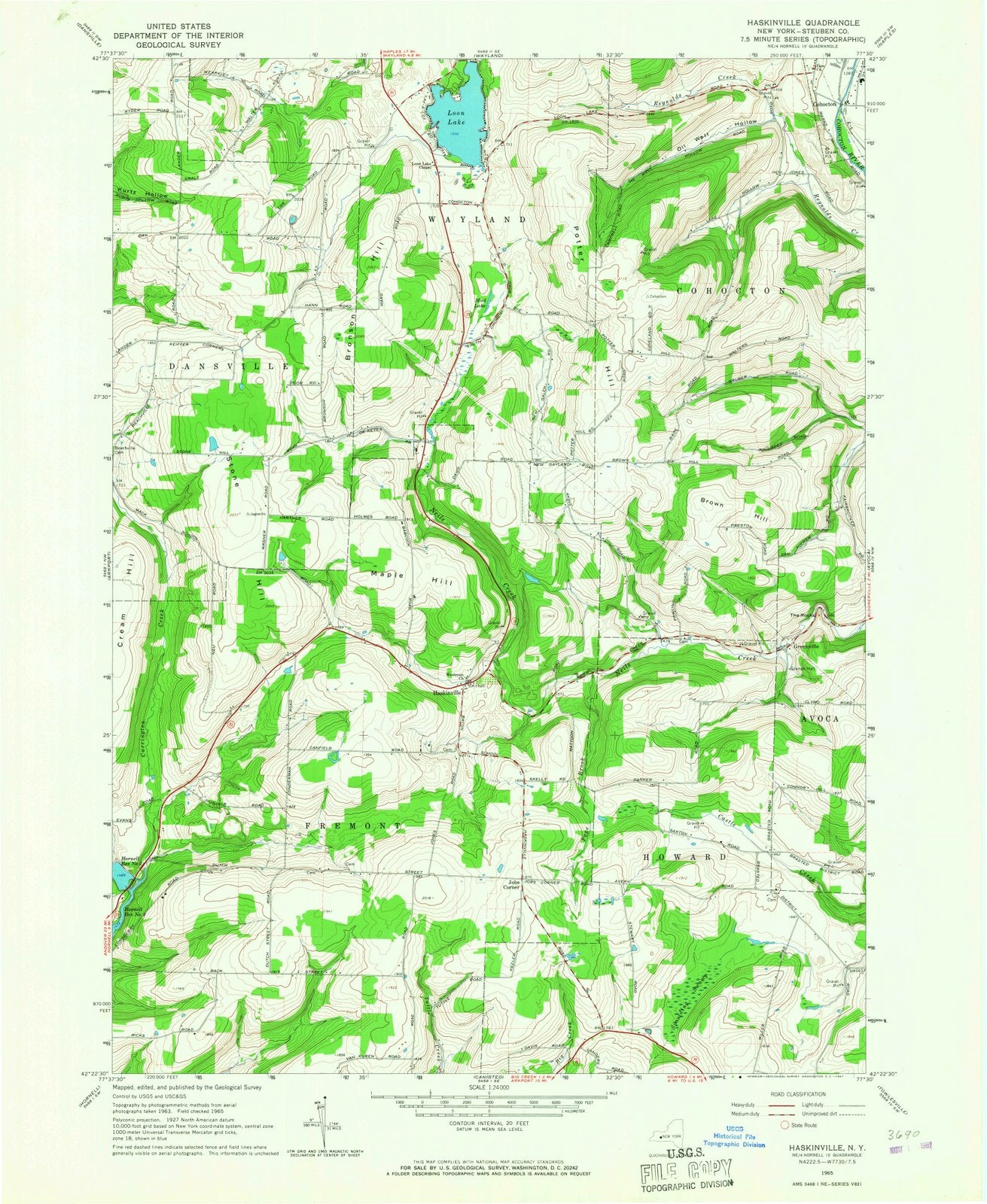 1965 Haskinville, NY - New York - USGS Topographic Map