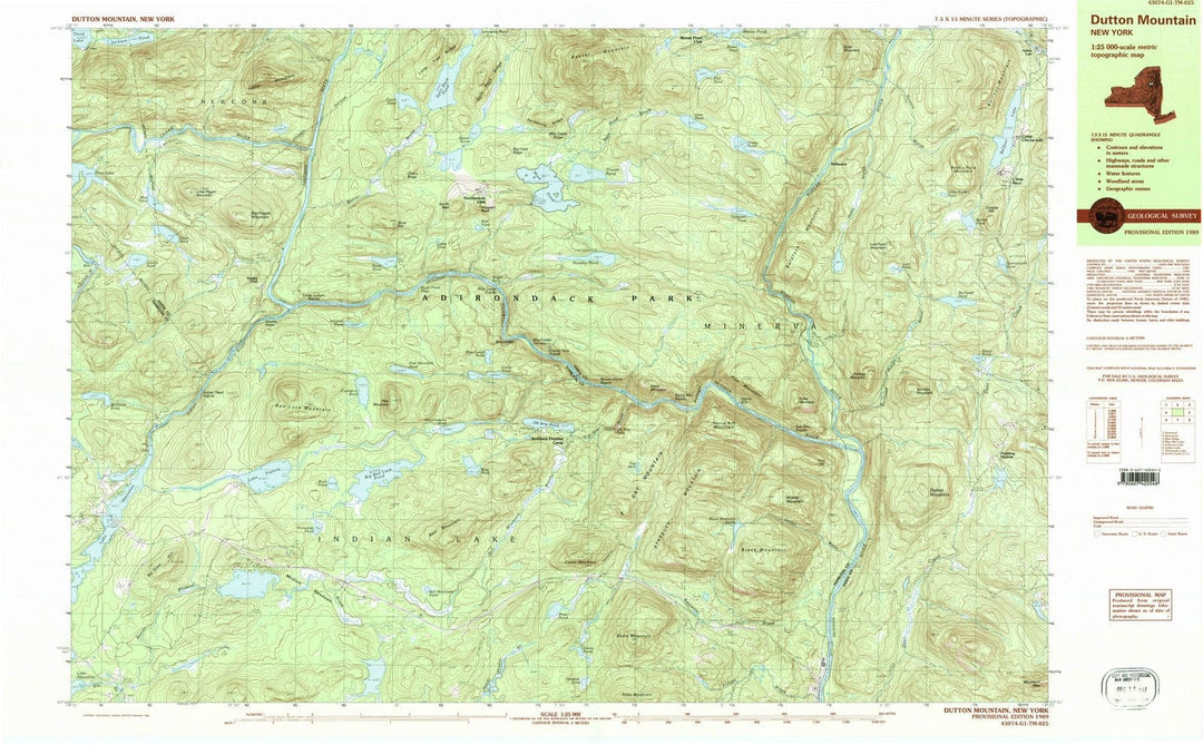 1989 Dutton Mountain, NY - New York - USGS Topographic Map