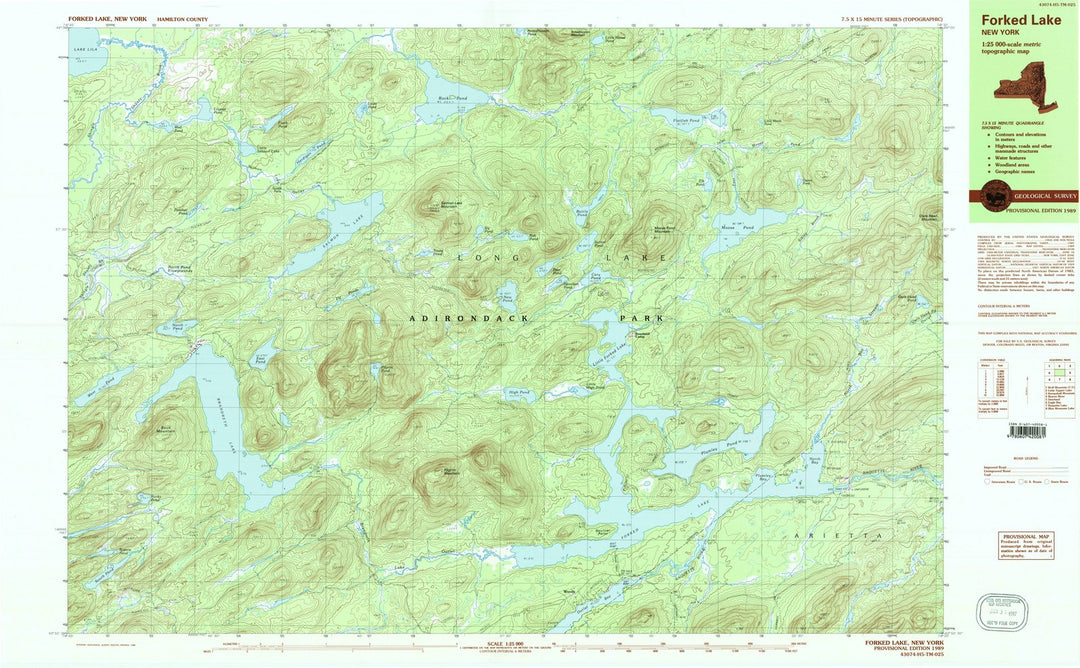 1989 Forked Lake, NY - New York - USGS Topographic Map