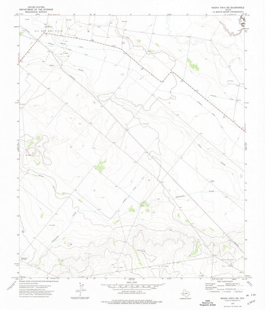 1972 Buena Vista, TX - Texas - USGS Topographic Map