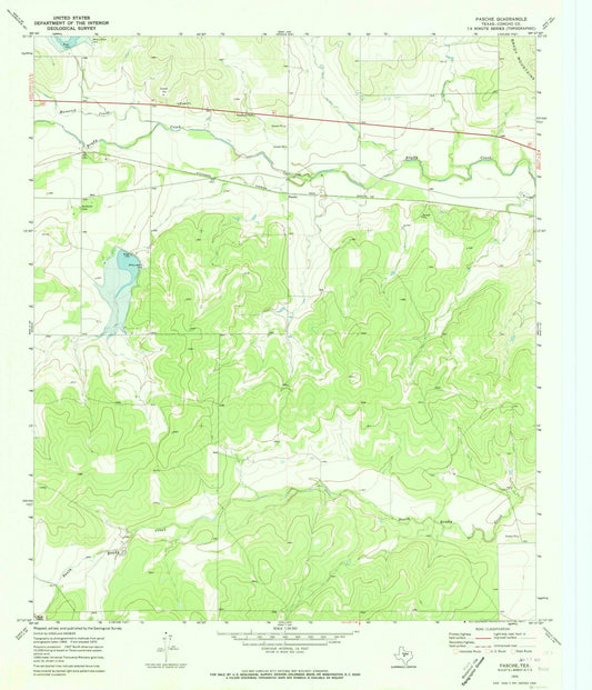 1970 Pasche, TX - Texas - USGS Topographic Map