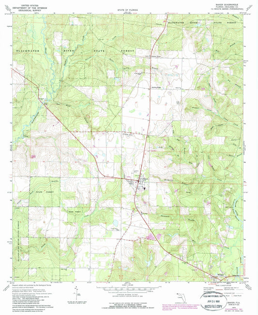 1973 Balance of Baker County, FL - Florida - USGS Topographic Map