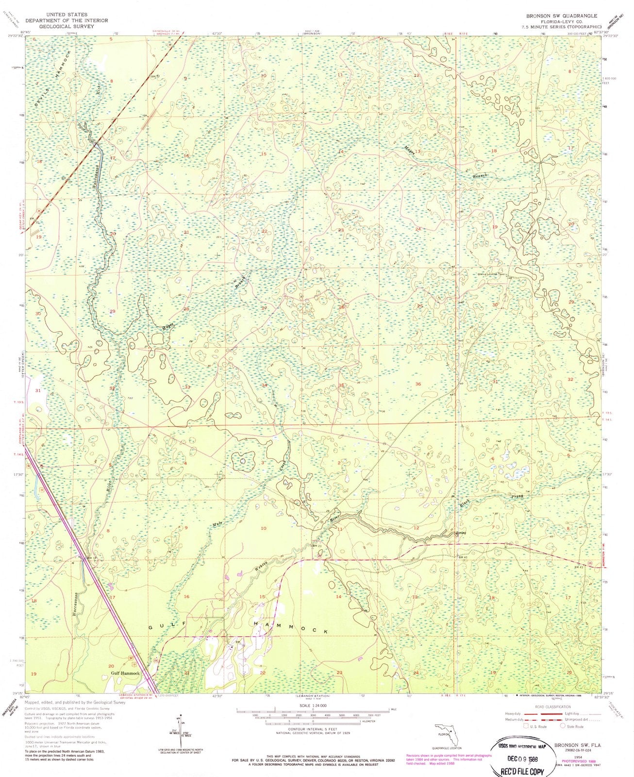 1954 Bronson, FL - Florida - USGS Topographic Map
