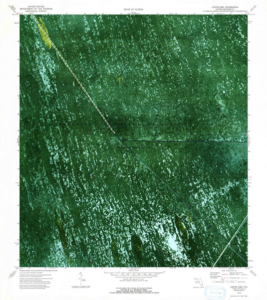 1973 Lake, FL - Florida - USGS Topographic Map v2