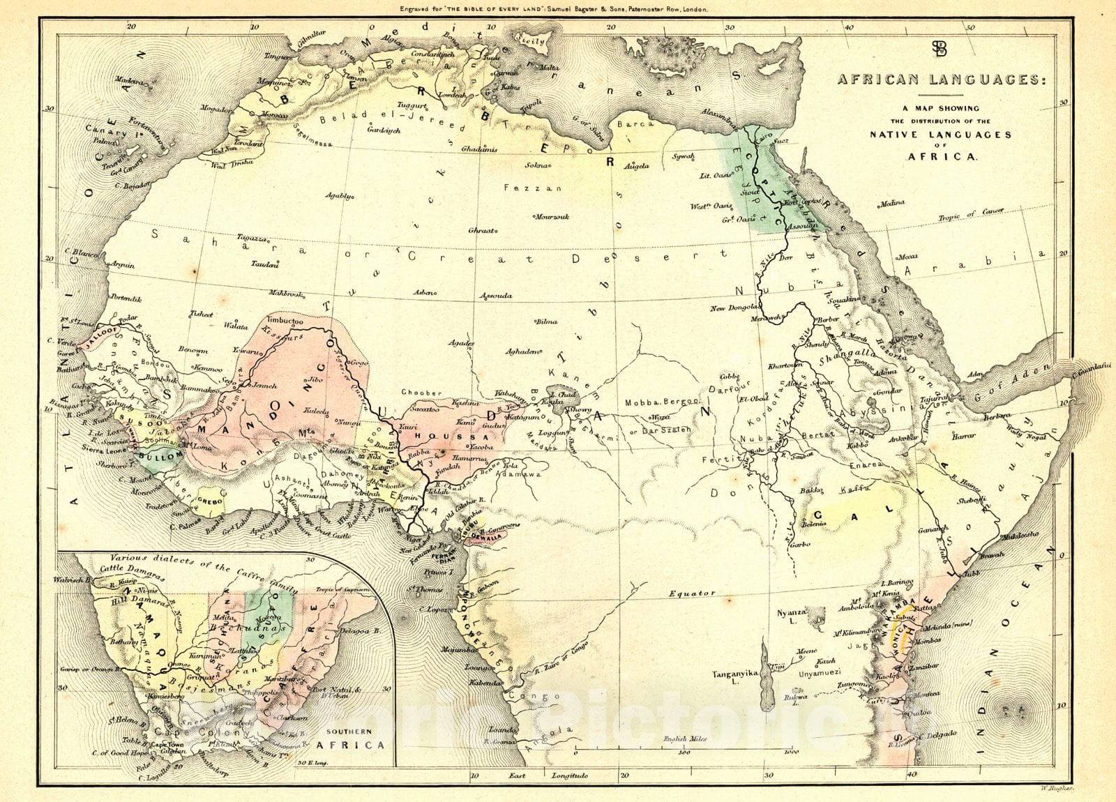 Historic Map : 1850 A Map Showing the Distribution of the Native Languages of Africa : Vintage Wall Art