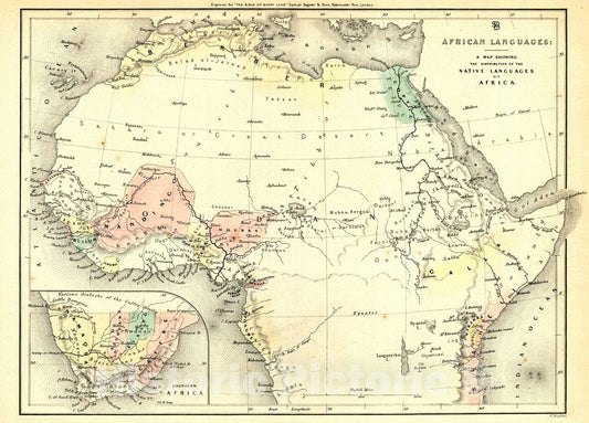 Historic Map : 1850 A Map Showing the Distribution of the Native Languages of Africa : Vintage Wall Art