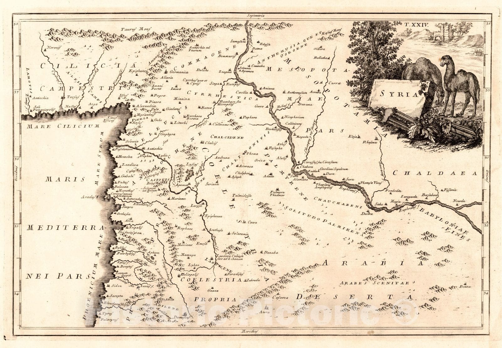 Historic Map : 1774 Syria : Vintage Wall Art