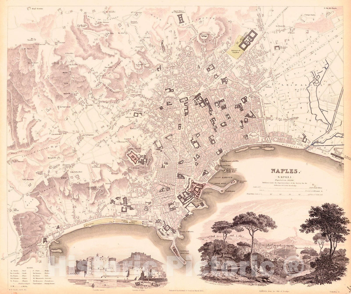 Historic Map : 1835 Naples : Vintage Wall Art