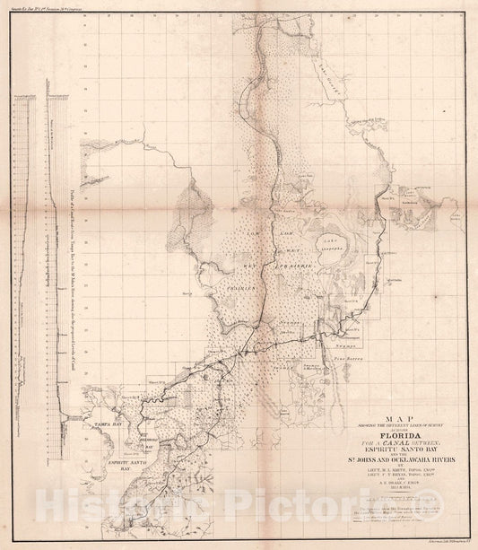 Historic Map : 1855 Map Showing the Different Lines of Survey Across Florida for a Canal Between Espiritu Santo Bay and the St. Johns and Ocklawaha Rivers : Vintage Wall Art