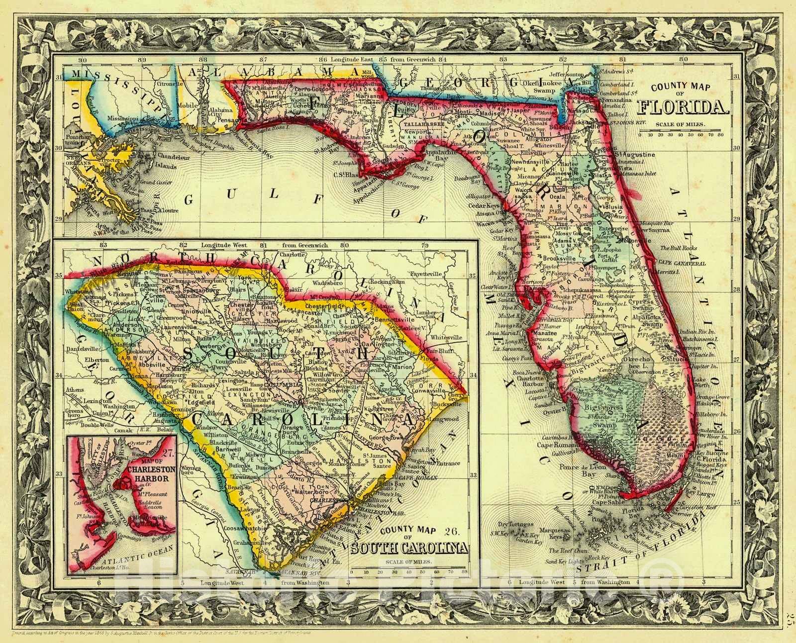 Historic Map : 1861 County Map of Florida, County Map of South Carolina : Vintage Wall Art
