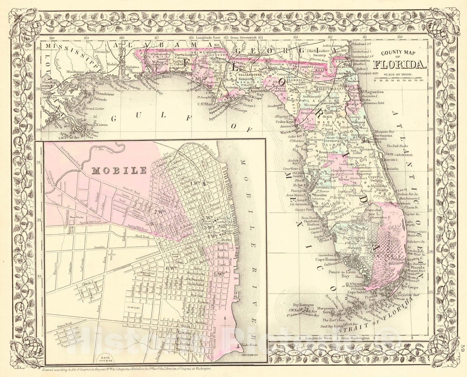 Historic Map : 1879 County Map of Florida : Vintage Wall Art