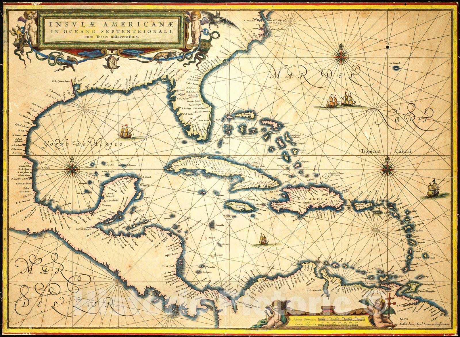 Historic Map : 1650 Insulae American&aelig; in Oceano Septentrionali, cum terris adiacentibus. : Vintage Wall Art