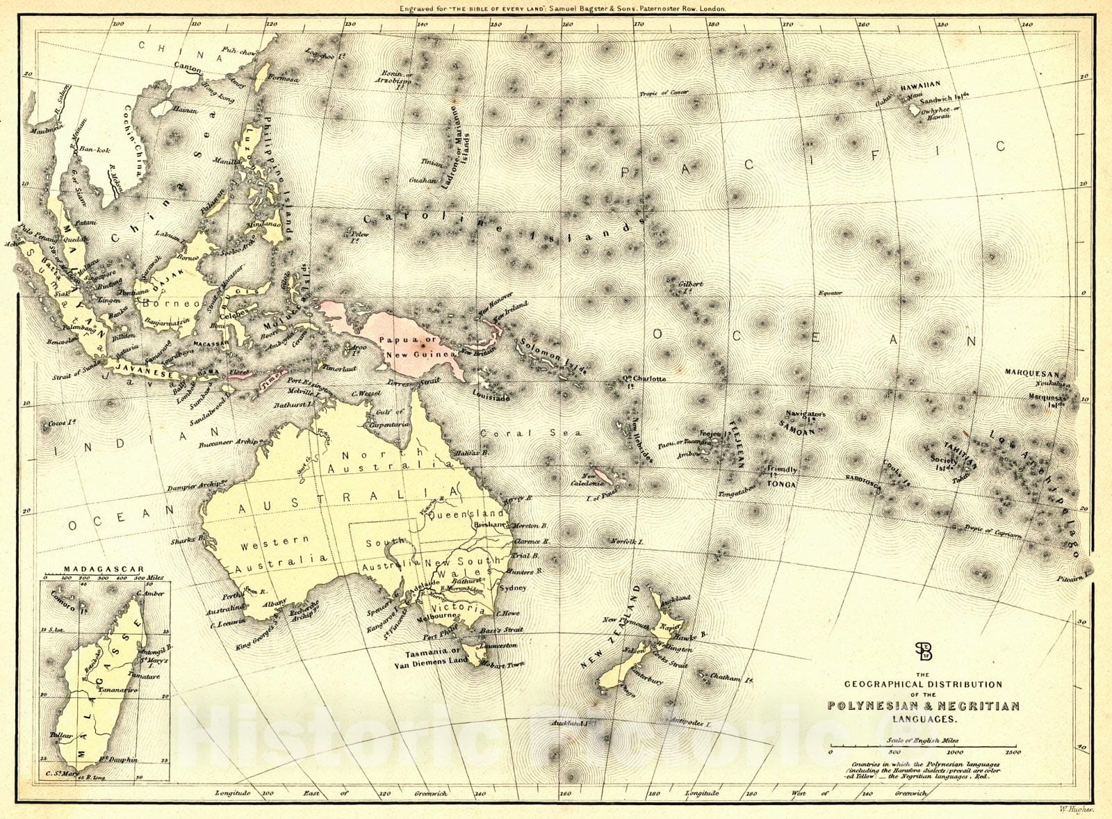 Historic Map : 1850 The Geographical Distribution of the Polynesian and Negritian Languages : Vintage Wall Art