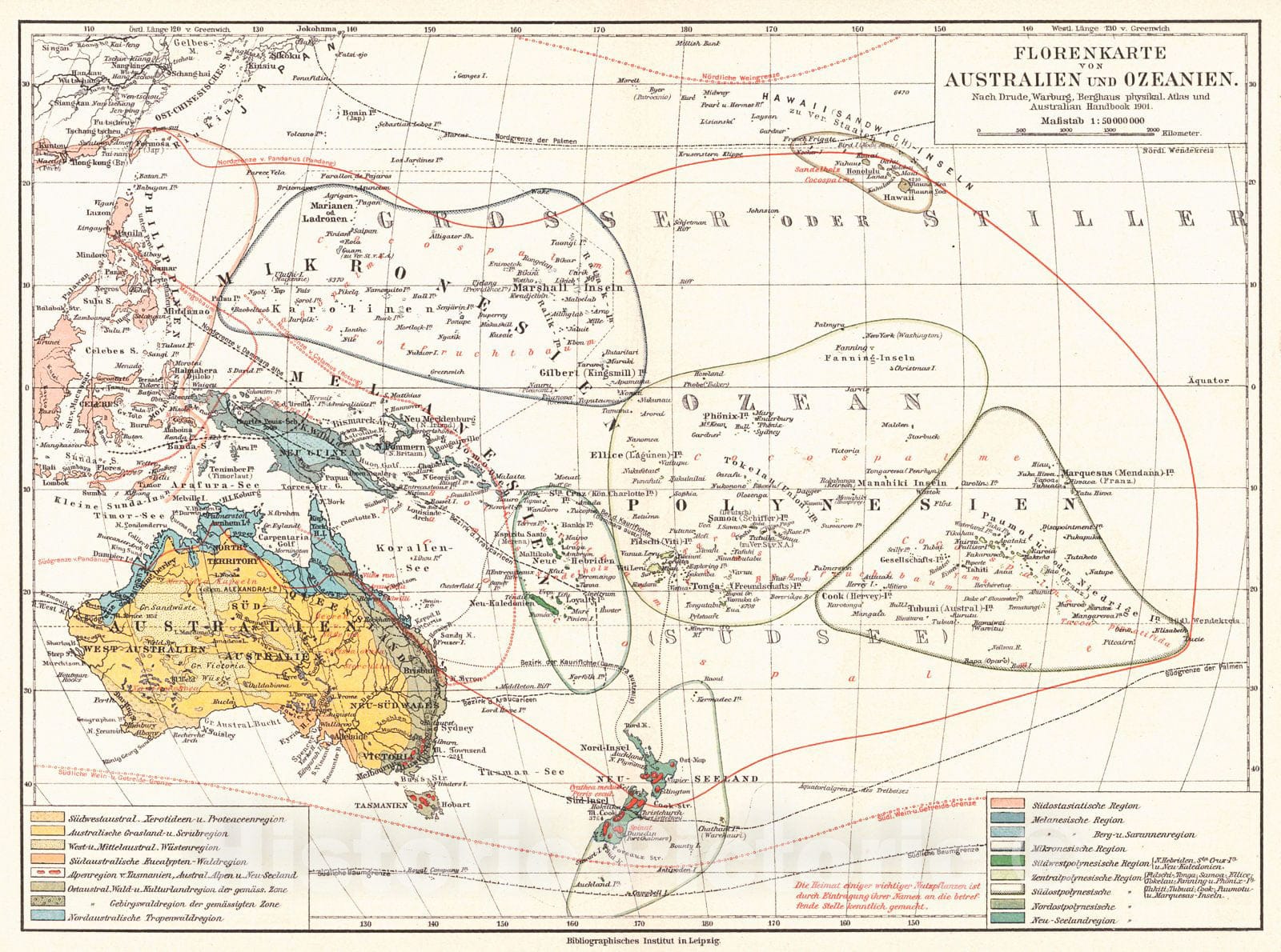Historic Map : 1894 Florkenkarte von Australien und Ozeanien  : Vintage Wall Art
